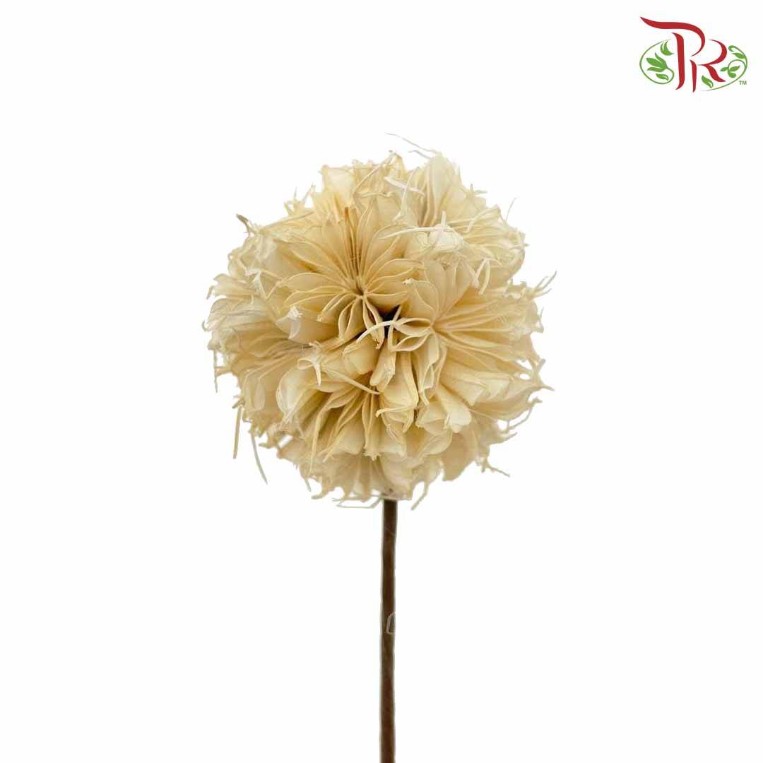 Dry Octagonal Ball - White - Pudu Ria Florist Southern