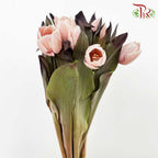 Tulip Dyed Colour - Pudu Ria Florist Southern