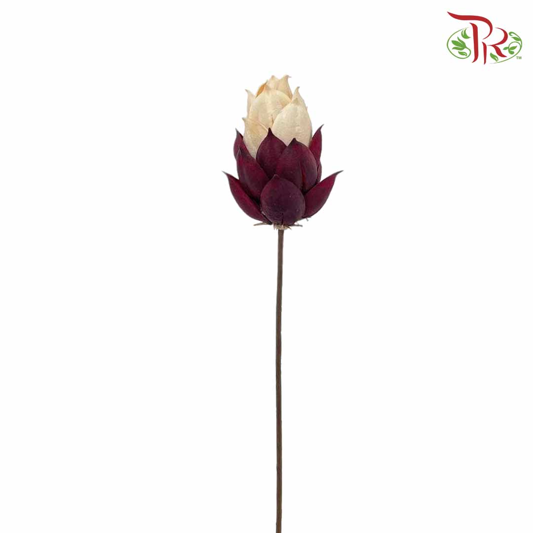 Dry Phoenix Tree Bud - White/Maroon - Offer Item - Pudu Ria Florist Southern