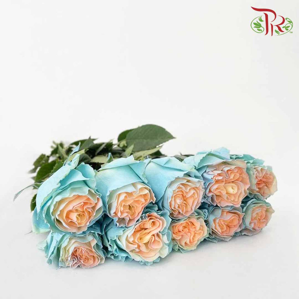 Rose Jellyfish 2 (8-10 Stems) - Pudu Ria Florist Southern