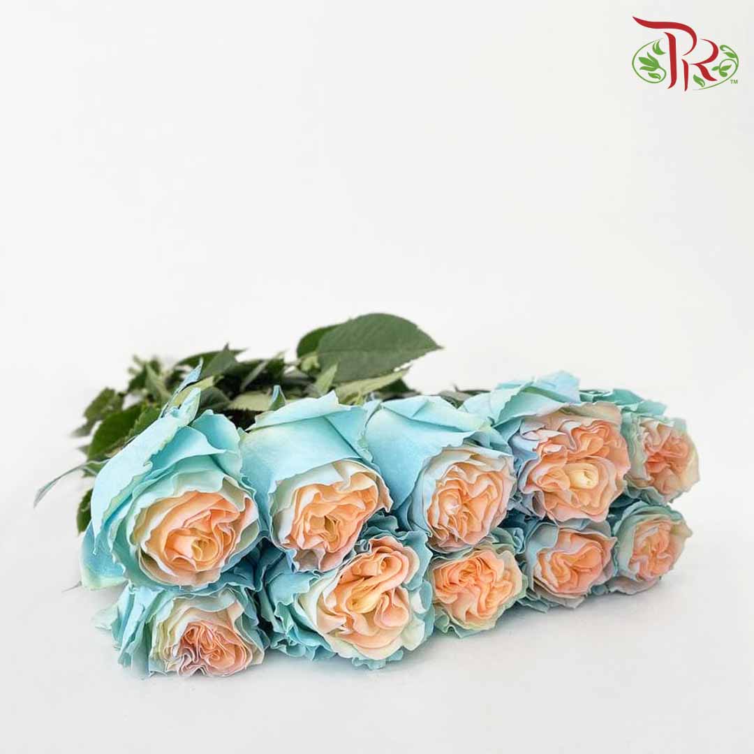 Rose Jellyfish 2 (8-10 Stems) - Pudu Ria Florist Southern