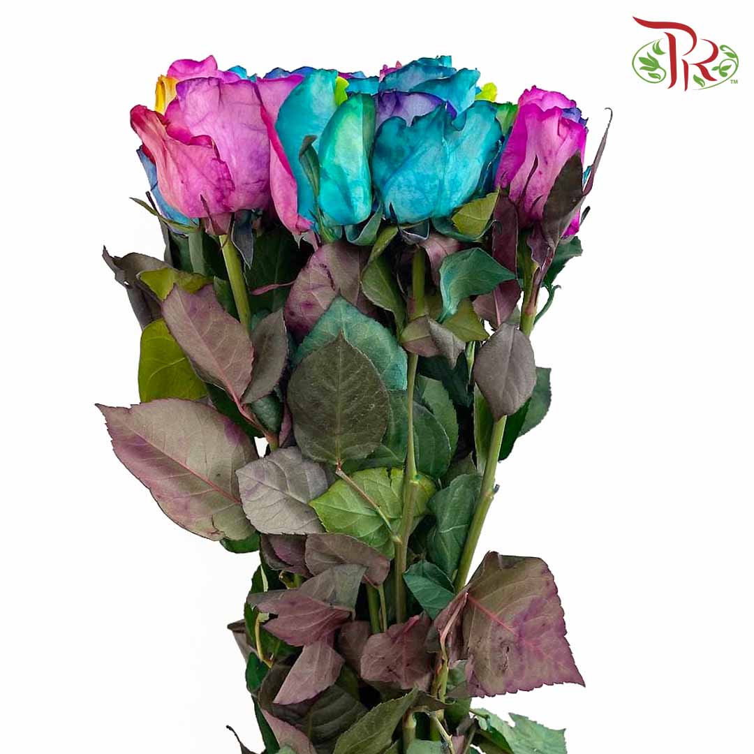 Rose Mondial Dyed Rainbow Tinted (8-10 Stems) - Pudu Ria Florist Southern