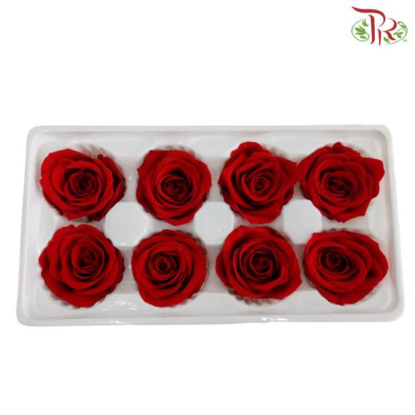 8 Bloom Preservative Rose - Red - Pudu Ria Florist Southern