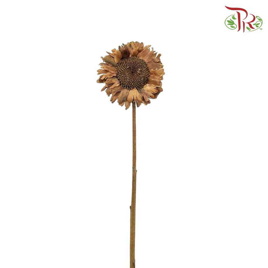 Dry Sunflower - Big - Pudu Ria Florist Southern