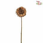 Dry Sunflower - Big - Pudu Ria Florist Southern