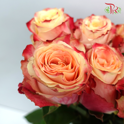 Rose Chapeau (8-10 Stems) - Pudu Ria Florist Southern