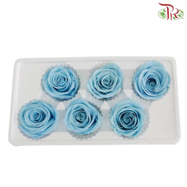 6 Bloom Preservative Rose - Light Blue - Pudu Ria Florist Southern