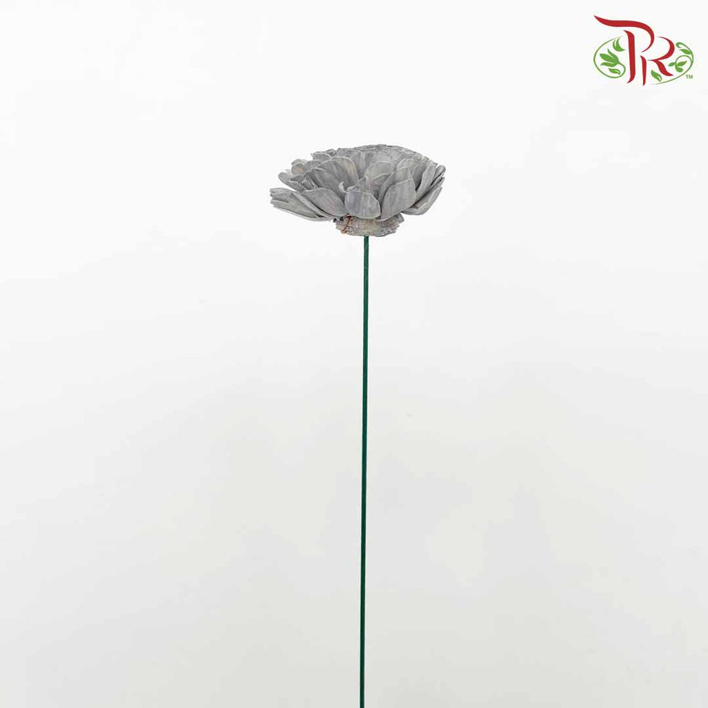 Dry Aeschynomene (Big) - Grey - Pudu Ria Florist Southern