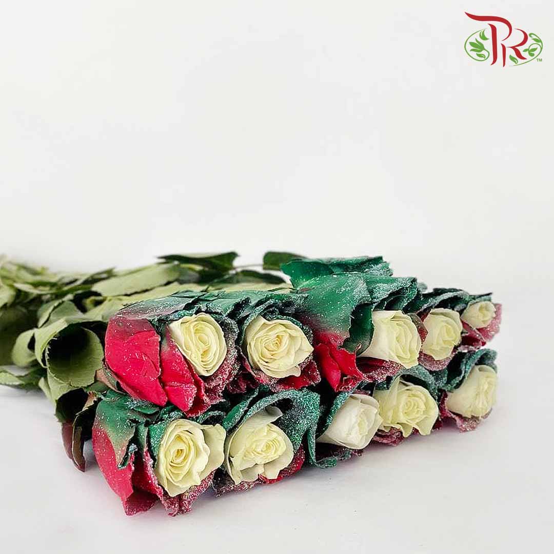Rose Xmas Candy (8-10 Stems) - Pudu Ria Florist Southern