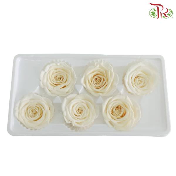 6 Bloom Preservative Rose - White - Pudu Ria Florist Southern