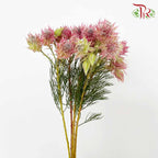 Blushing Bride Pink - Pudu Ria Florist Southern