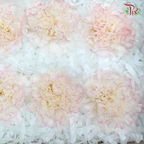 Preservative Carnation (8 Blooms) White/Purple - Pudu Ria Florist Southern