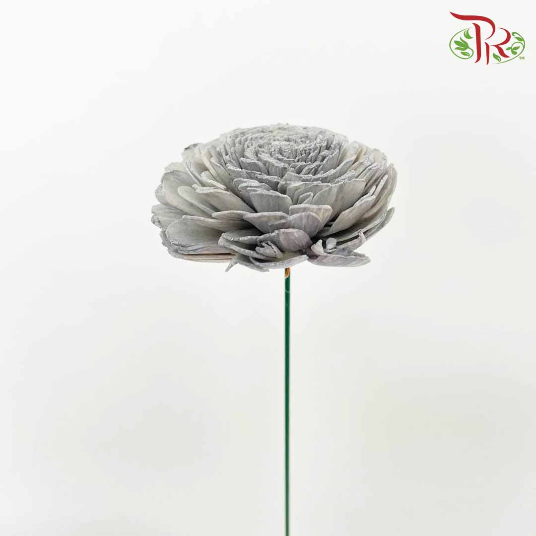 Dry Aeschynomene (Big) - Grey - Pudu Ria Florist Southern