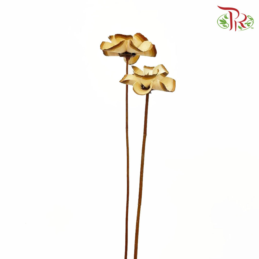 Dry Sakura Flower - Pudu Ria Florist Southern