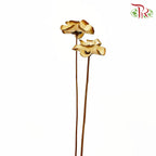 Dry Sakura Flower - Pudu Ria Florist Southern