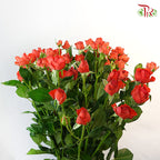 Rose Spray Neon bubble (8-10 Stems) - Pudu Ria Florist Southern
