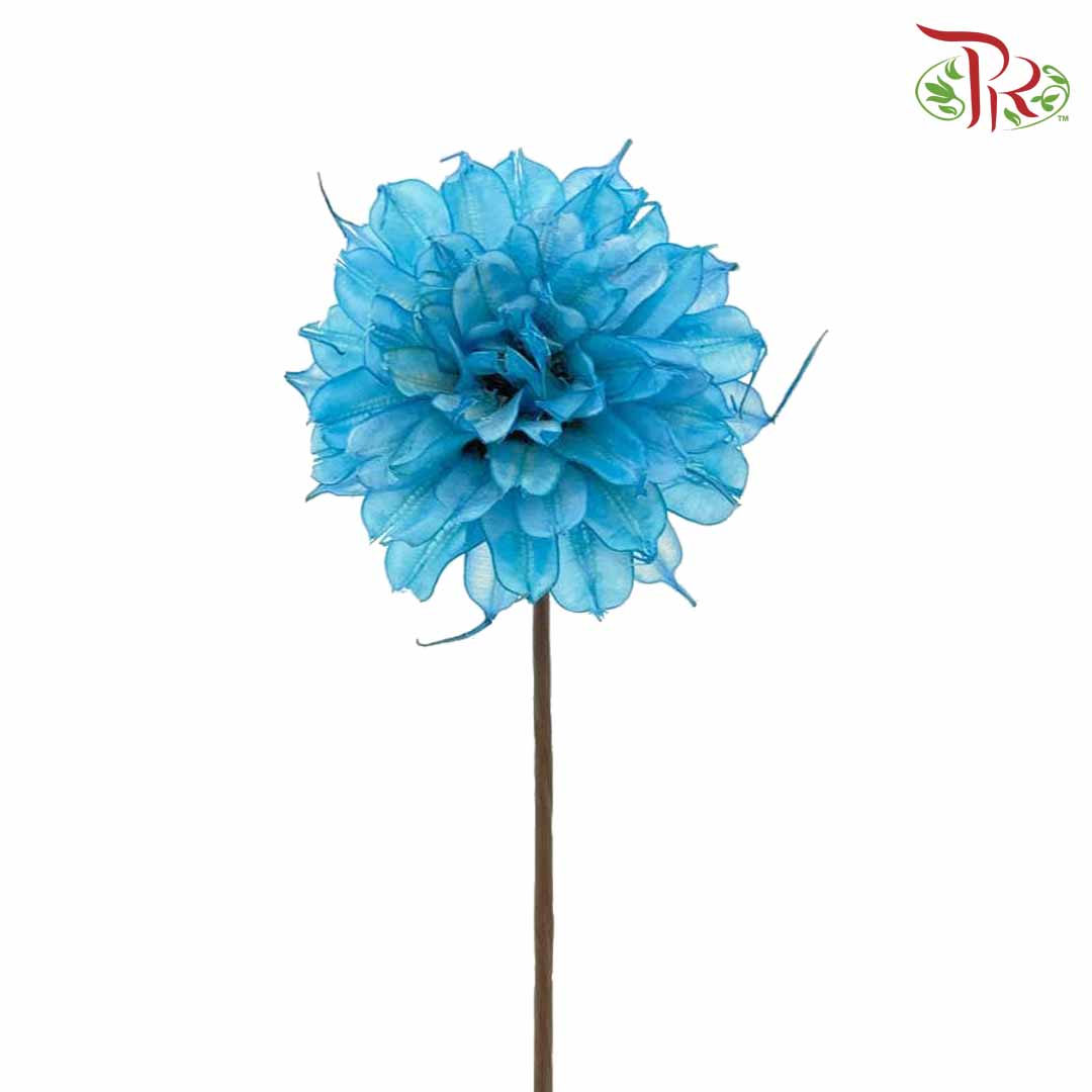 Dry Small Liju - Blue - Pudu Ria Florist Southern