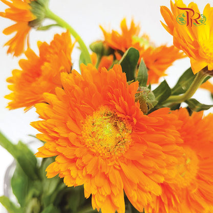 Marigold Orange (18-20 Stems) - Pudu Ria Florist Southern