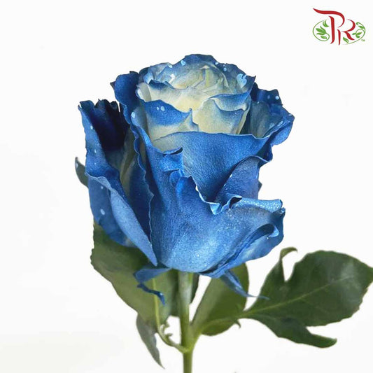 Rose Mondial Dyed Milky Way (8-10 Stems) - Pudu Ria Florist Southern