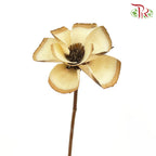 Dry Sakura Flower - Pudu Ria Florist Southern