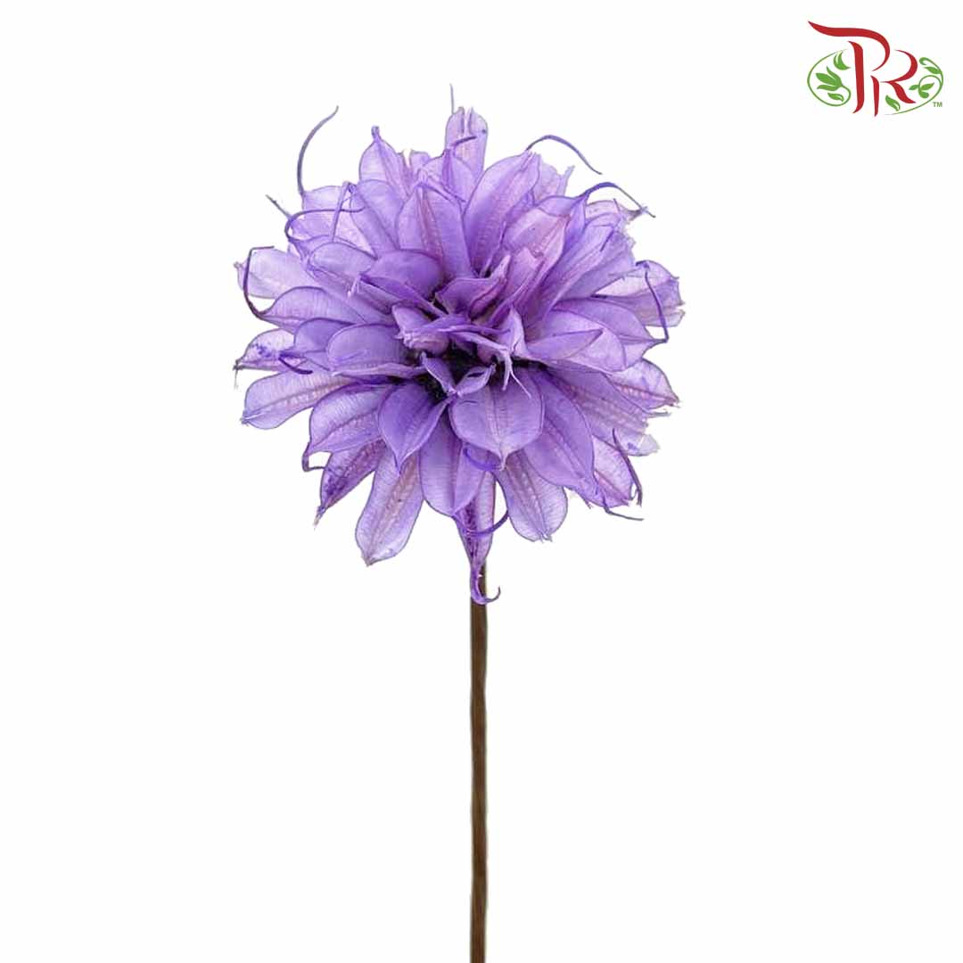 Dry Small Liju - Purple