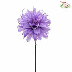 Dry Small Liju - Purple - Pudu Ria Florist Southern