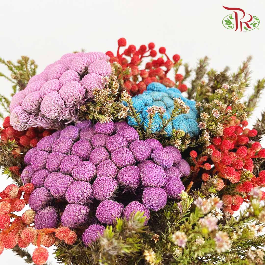 Safari Mix (Premium 3) - Pudu Ria Florist Southern