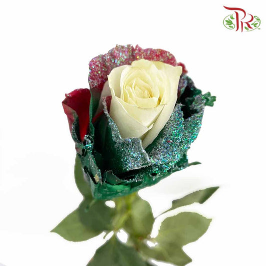 Rose Xmas Candy (8-10 Stems) - Pudu Ria Florist Southern