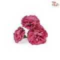 Fragrance Carnation Soap Flower Wine Red - FBA025#5 - Pudu Ria Florist Southern