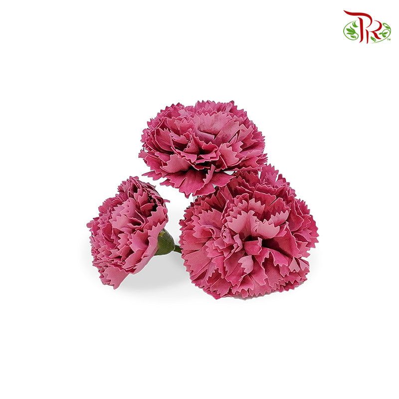Fragrance Carnation Soap Flower Wine Red - FBA025#5 - Pudu Ria Florist Southern