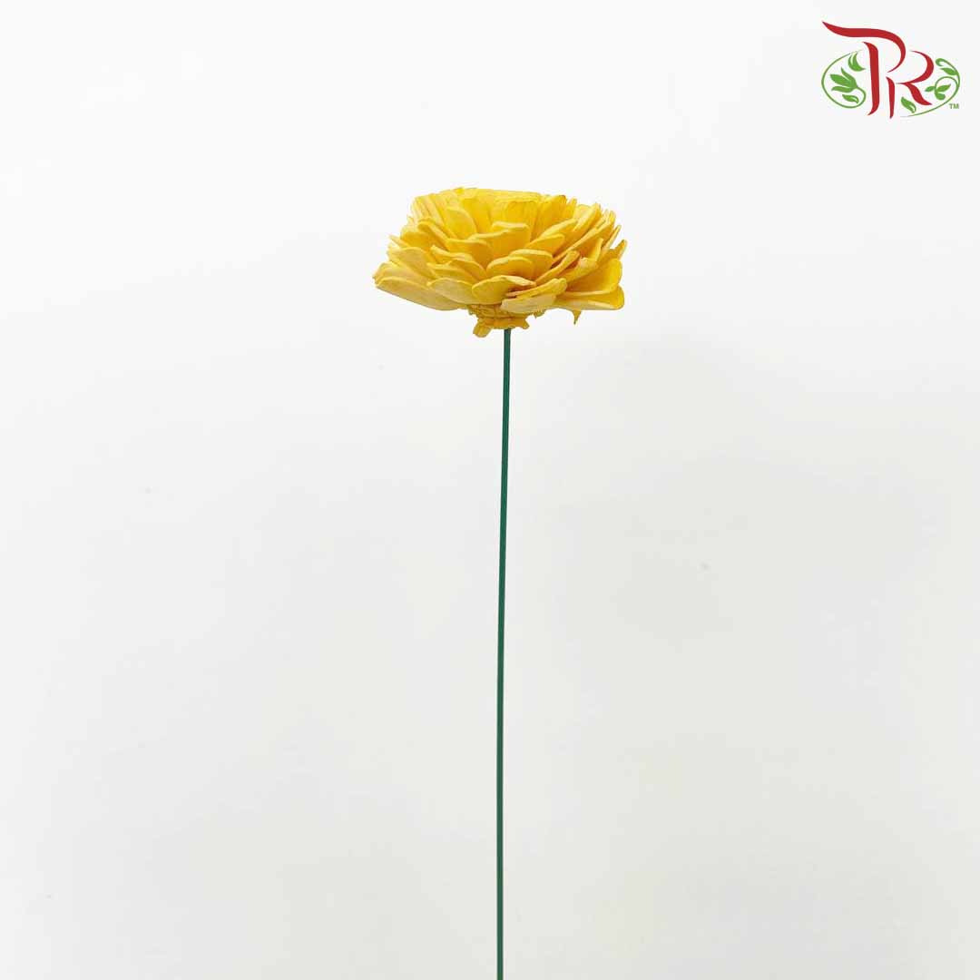 Dry Aeschynomene (Big) - Yellow - Pudu Ria Florist Southern