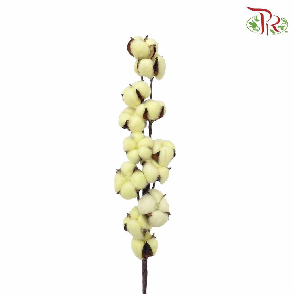 Cotton Flower Dyed Colour - Yellow - Pudu Ria Florist Southern