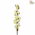 Cotton Flower Dyed Colour - Yellow - Pudu Ria Florist Southern