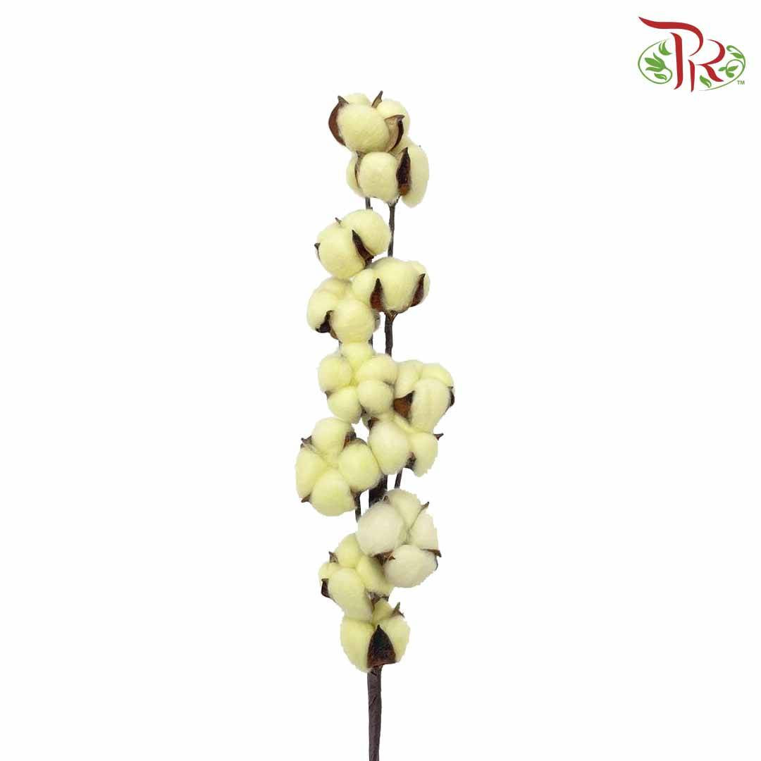 Cotton Flower Dyed Colour - Yellow - Pudu Ria Florist Southern