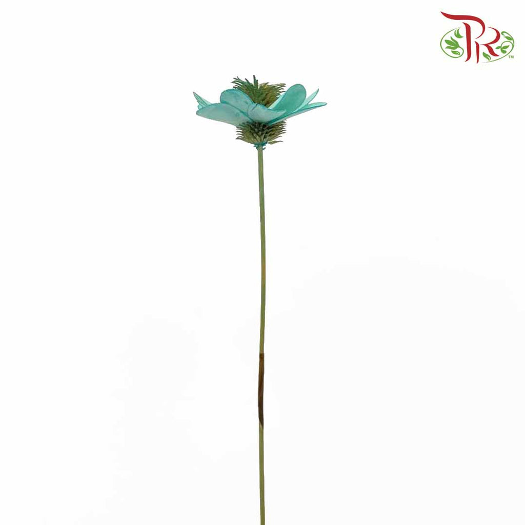 Dry Stella Luna - Tiffany Blue - Pudu Ria Florist Southern