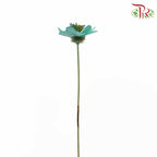 Dry Stella Luna - Tiffany Blue - Pudu Ria Florist Southern