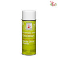 Design Master Colortool Spray- Olive Bright (790) - Pudu Ria Florist Southern