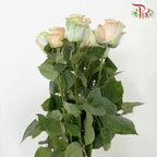 Rose Mondial Dyed Mermaid (8-10 Stems) - Pudu Ria Florist Southern