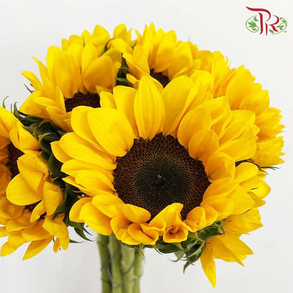 Sunflowers (5 Stems) - Pudu Ria Florist Southern