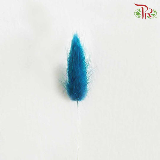 Dry Lagurus (Bunny Tails) - Navy Blue - Pudu Ria Florist Southern