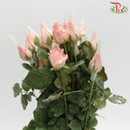 Rose Pink (19-20 Stems) - Pudu Ria Florist Southern