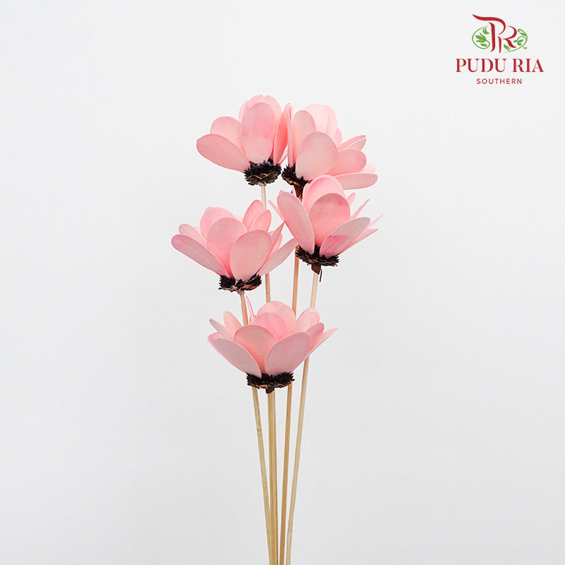 Dry Hibiscus Pink - Pudu Ria Florist Southern