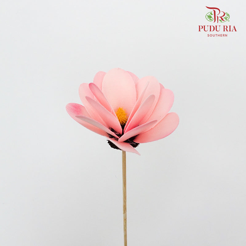 Dry Hibiscus Pink - Pudu Ria Florist Southern