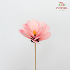 Dry Hibiscus Pink - Pudu Ria Florist Southern