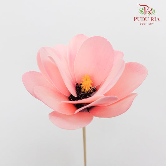 Dry Hibiscus Pink - Pudu Ria Florist Southern