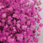 Baby's Breath Pink (8-10 Stems) - Pudu Ria Florist Southern
