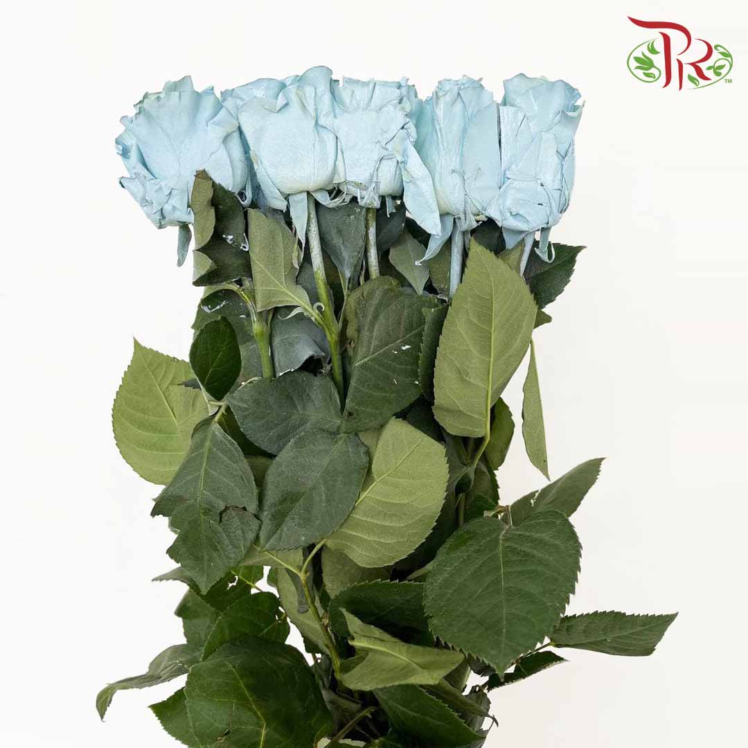 Rose Mondial Dyed Baby Blue (8-10 Stems) - Pudu Ria Florist Southern