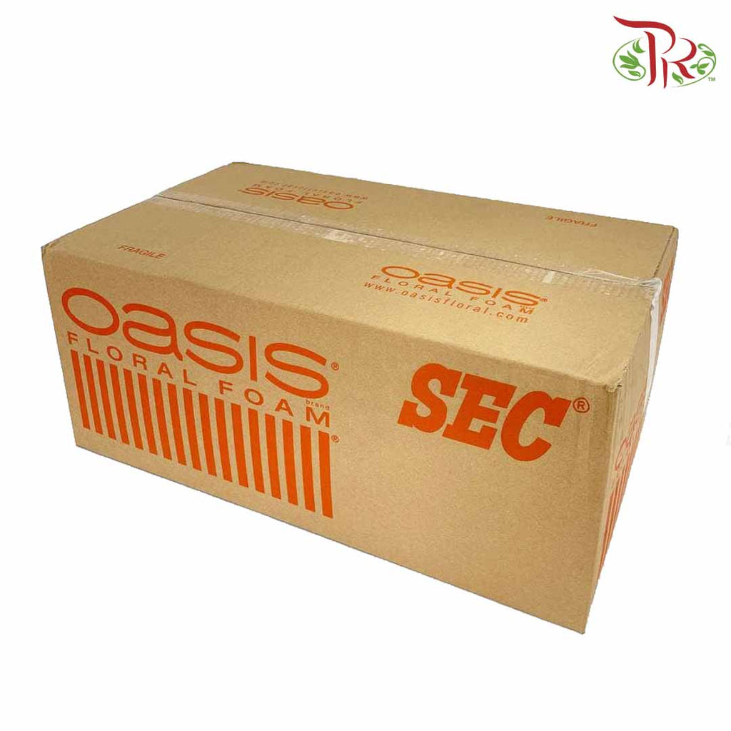 Oasis Sec Floral Foam - per box - Pudu Ria Florist Southern