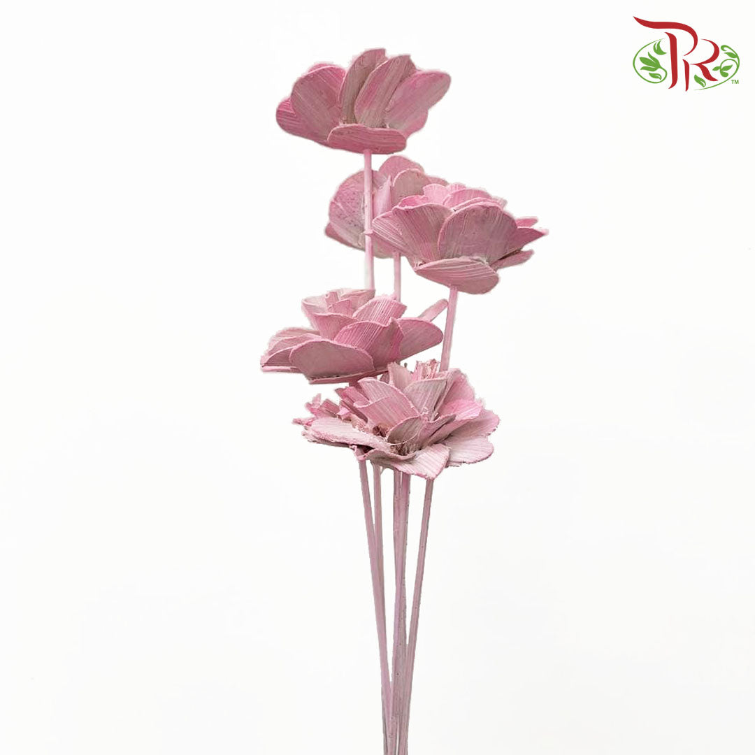 Dry Wood Rose - Pink - Offer Item - Pudu Ria Florist Southern