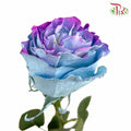Rose Seahorse (8-10 Stems) - Pudu Ria Florist Southern